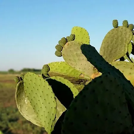 Il Fiore Verde