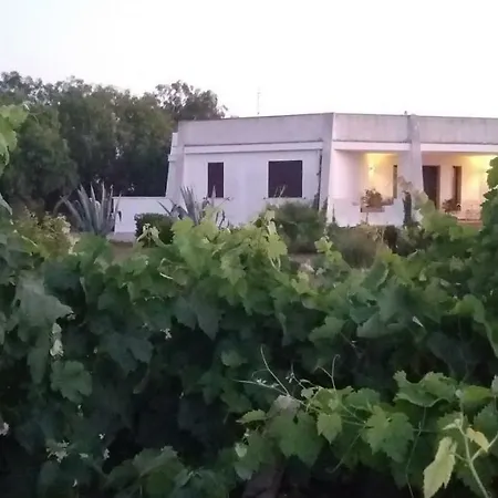 Il Fiore Verde קאסארנו