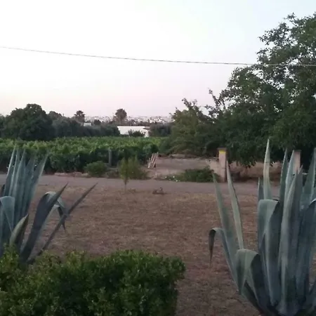 בית נופש Il Fiore Verde קאסארנו